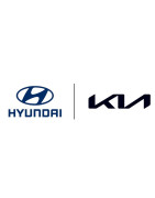 HYUNDAI / KIA (Solo Quilpue)